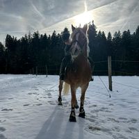 leonie_steinlechner