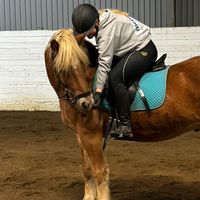 alicia_hast