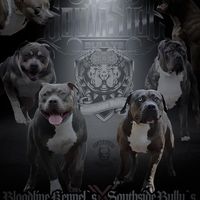 south_sidebullys