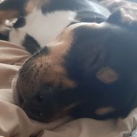 len_12361