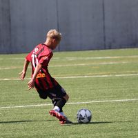 mattdonela11