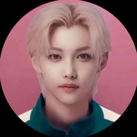 skz.tb