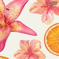 vivianasedits