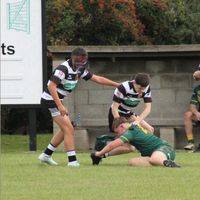 nicholas.hodgson10
