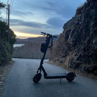 julebrus_1