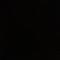 silentheart8081