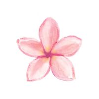 hawaiihairinspo