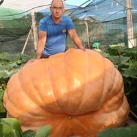 potigonzalez