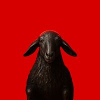 blacksheep.italy