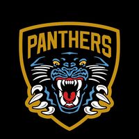 thenottinghampanthers