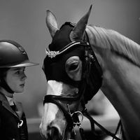 ellakayshowjumping