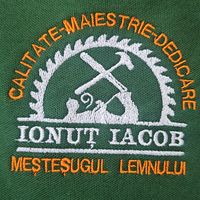 ionut.iacob07