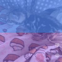ella.x8820