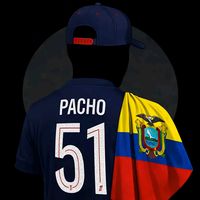 psg_va91