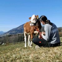 garten_hof_und_so
