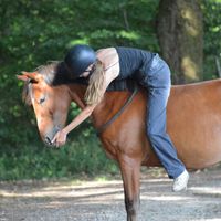 jade_windy