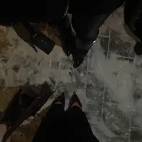 elonayappppp
