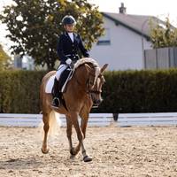 odessa_allrounder