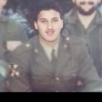 alihamed3890