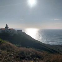 sandyferreira945