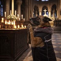queenmalinoise
