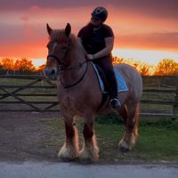 zoe.and.the.ponies