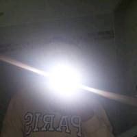 stupidgirl748