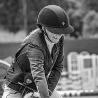 havanalua_horses