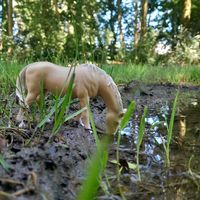 schleich_paardjes.0