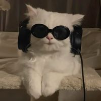 spotifysongss_x