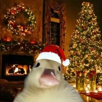 chrizz_mas