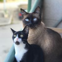 kikisaguiadventures