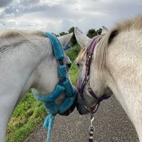 april.and.marcy