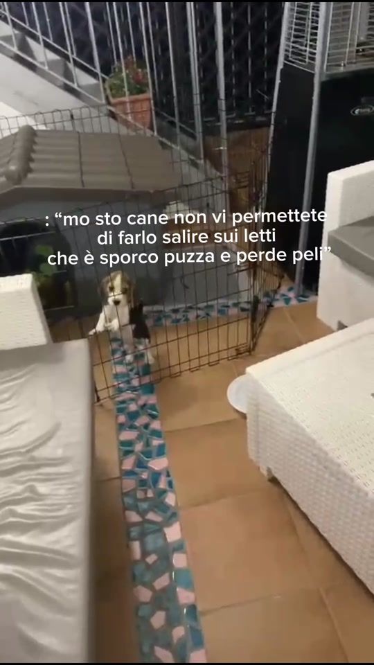 TikTok video thumbnail by sasidimeglio