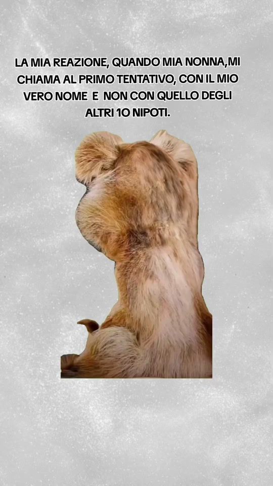 TikTok video thumbnail by ylenia_meme