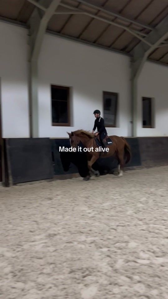 TikTok video thumbnail by katarzynahalter