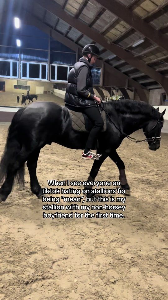 TikTok video thumbnail by equestsoff