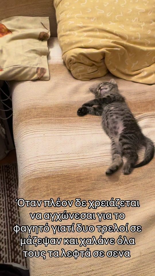 TikTok video thumbnail by mortythecat5