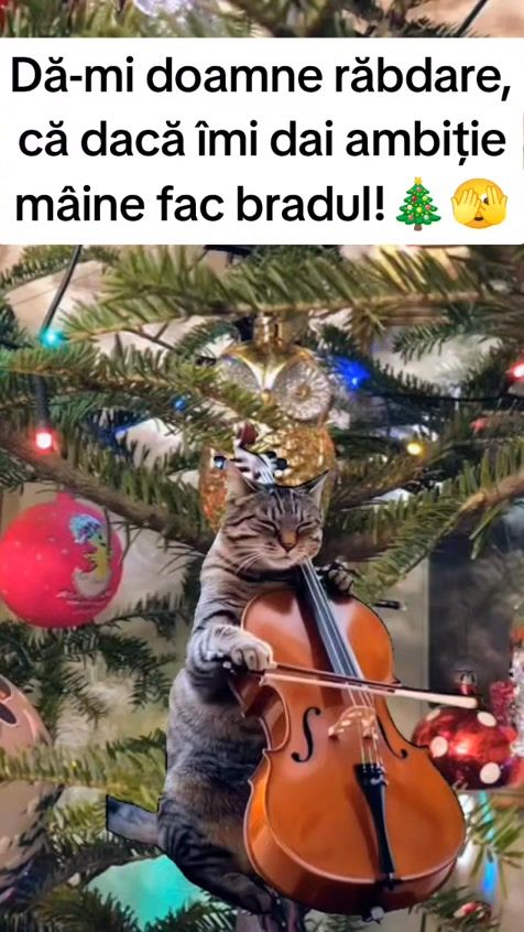 TikTok video thumbnail by andreeaelenac93