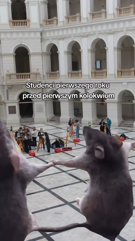 TikTok video thumbnail by politechnikawaw