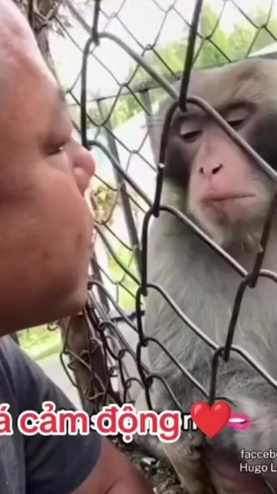 TikTok video thumbnail by lol_lol882