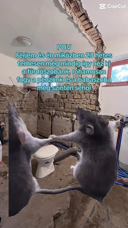 TikTok video thumbnail by kisborsonk