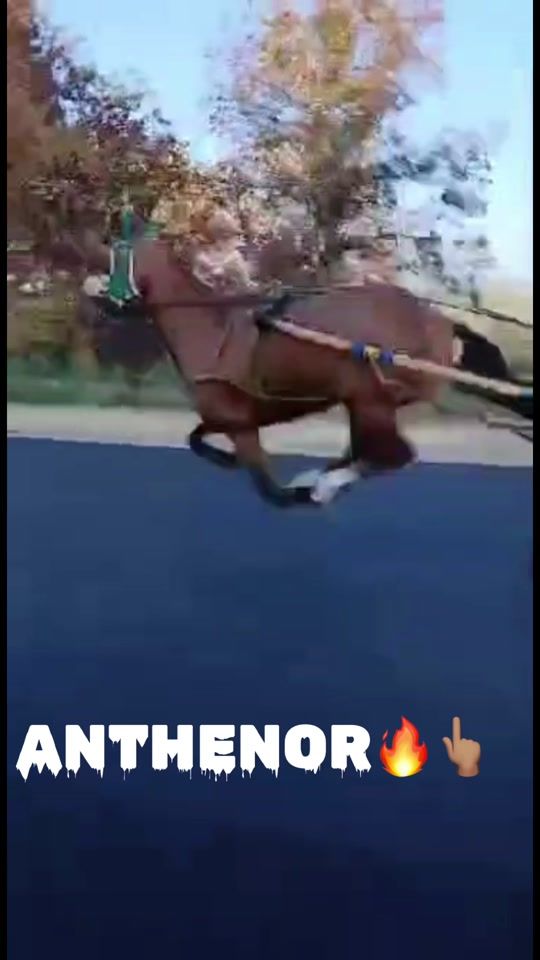 TikTok video thumbnail by scuderiaroprincipe
