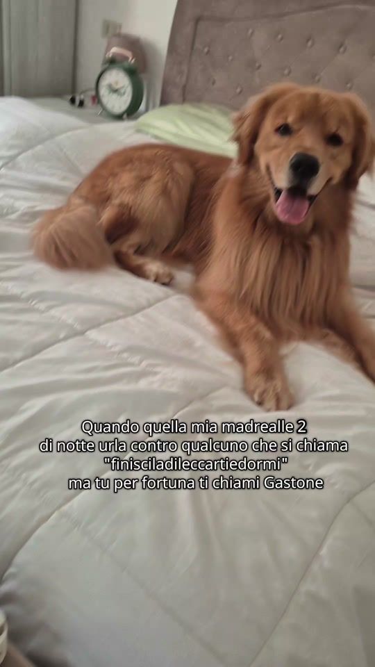 TikTok video thumbnail by claudia.concas