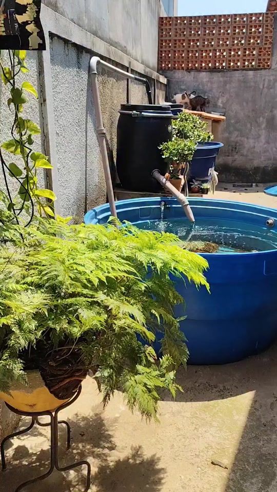 TikTok video thumbnail by fishplanet.2