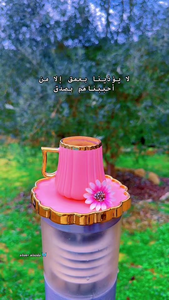 TikTok video thumbnail by abeer.alaoda