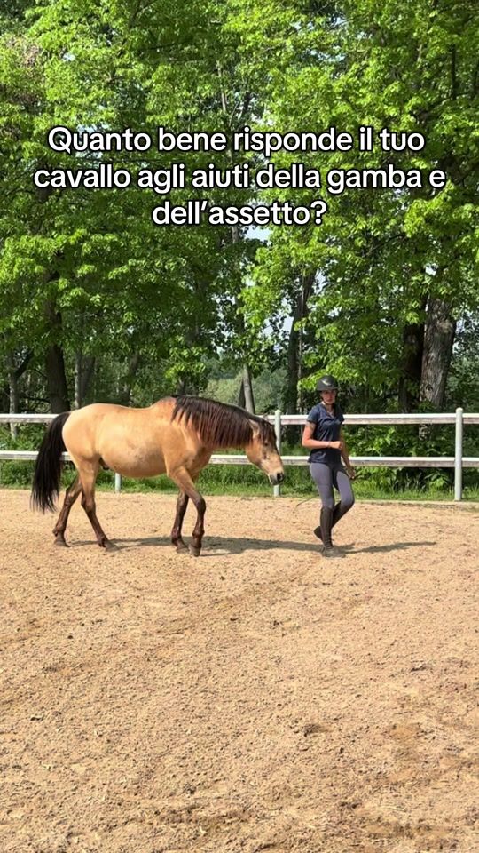 TikTok video thumbnail by asiadacquarone