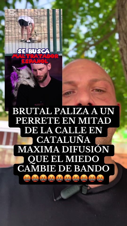 TikTok video thumbnail by ni1agresionsinrespuesta_