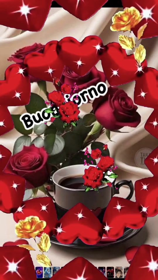 TikTok video thumbnail by alessandracarbone12