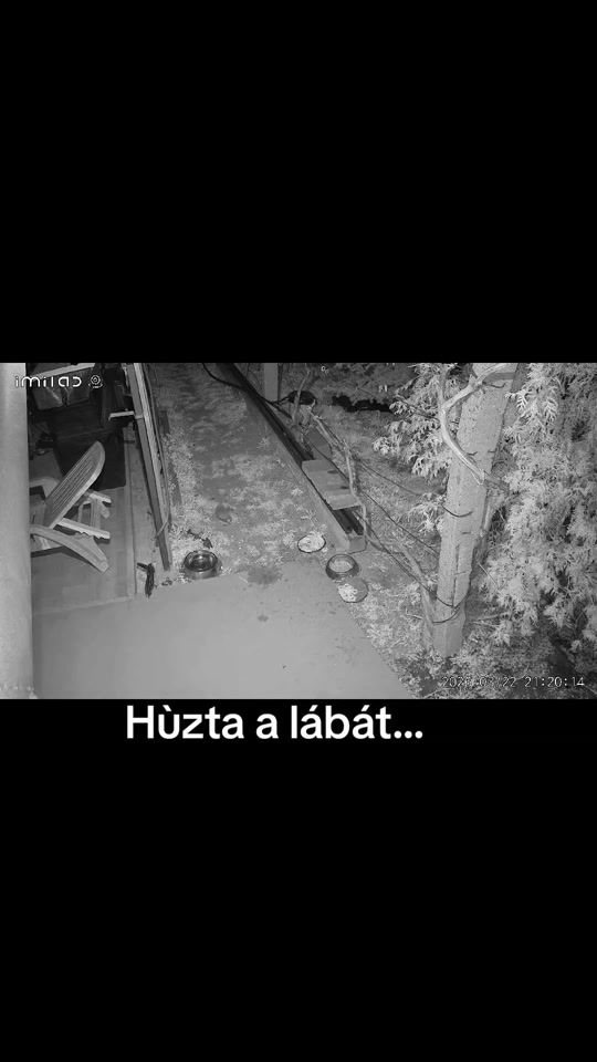 TikTok video thumbnail by perlandi